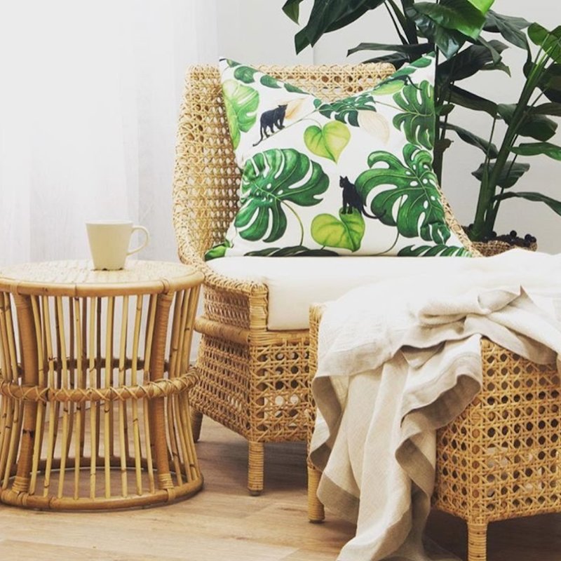 INTRODUCING CATWALK - THETRAY.SHOP