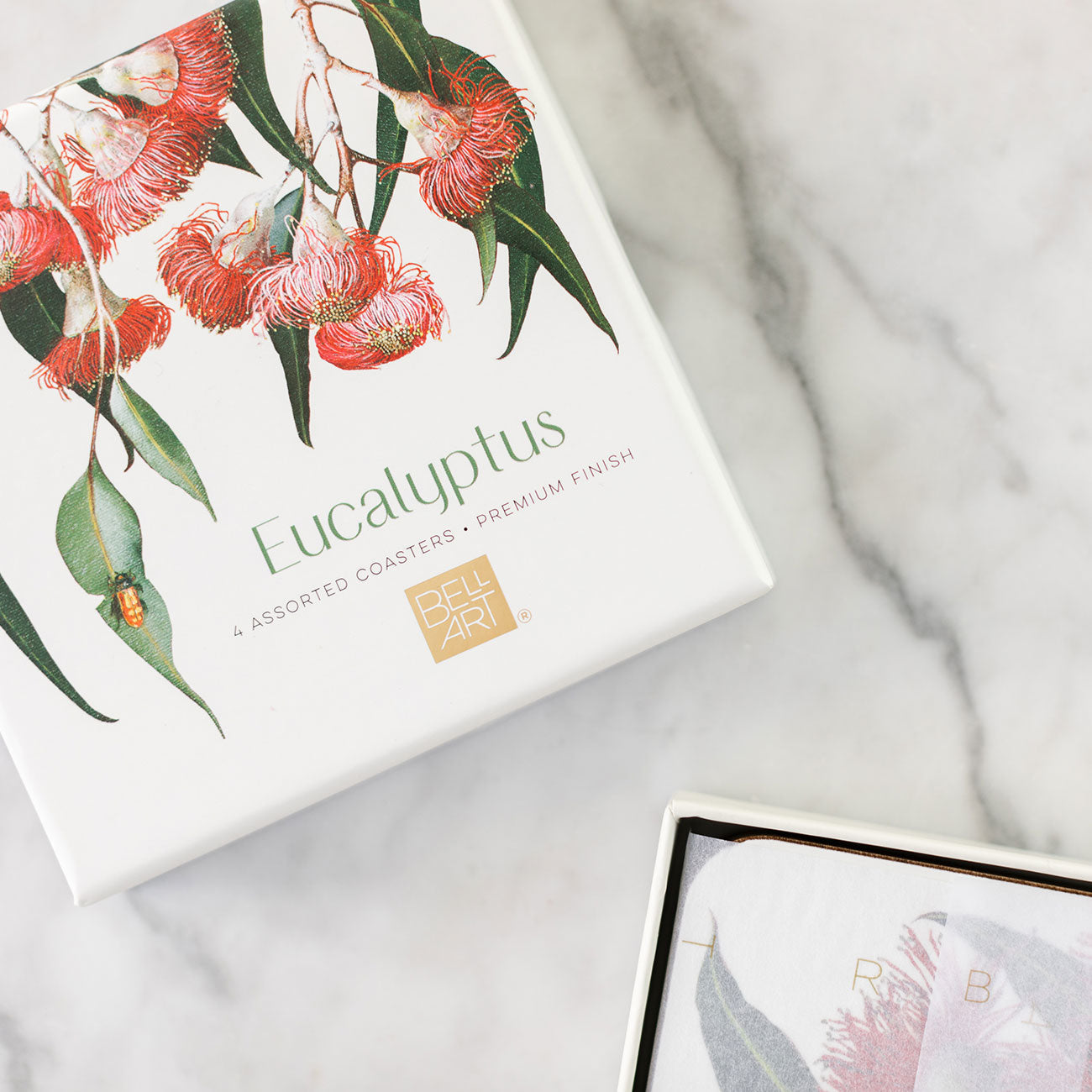 Eucalyptus cork coasters