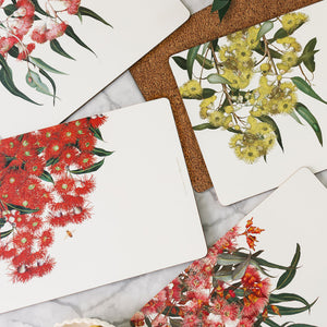 Eucalyptus cork placemats