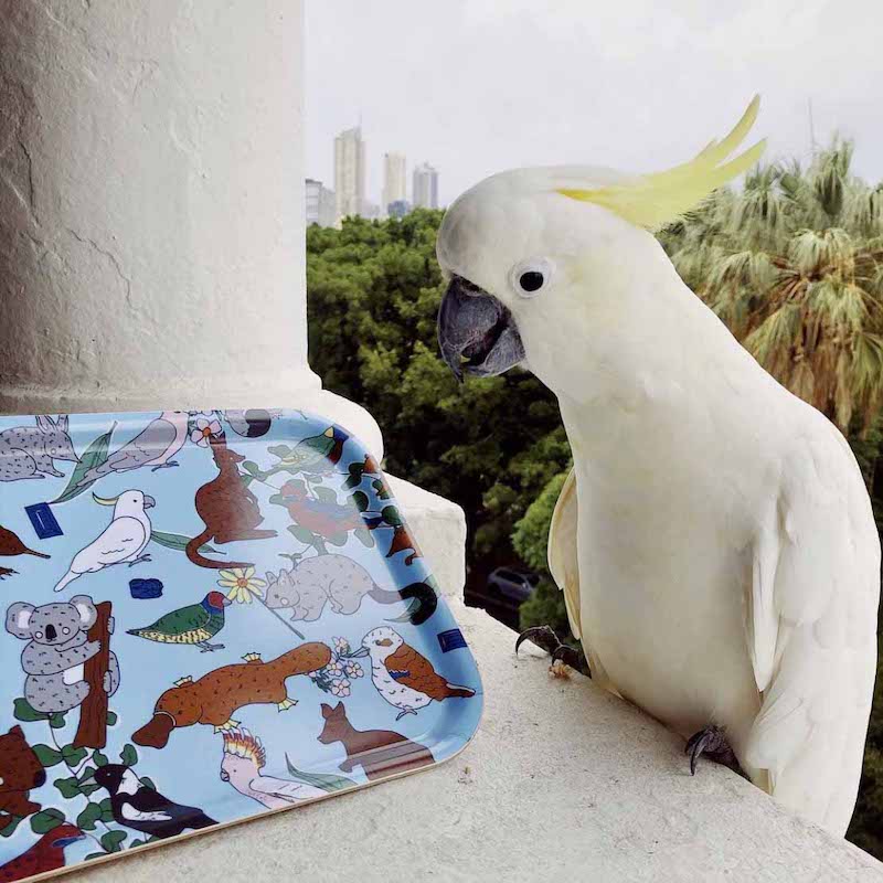 Aus-Tray-Lia Rectangular Tray - Blue - By McKean Studio