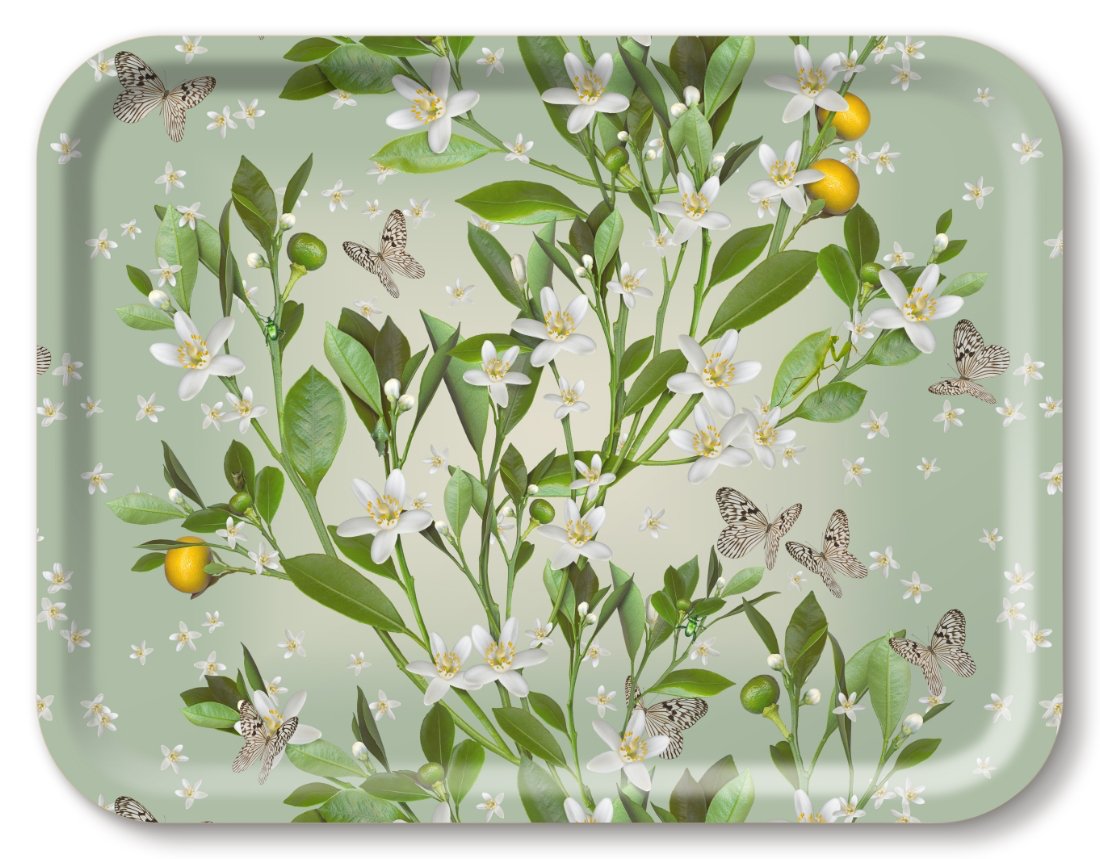 Orange Blossom Rectangular Tray - Michael Angove